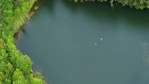 Drone flying slowly over young teenagers playing around and swimming in a lak Stock Footage 305564541