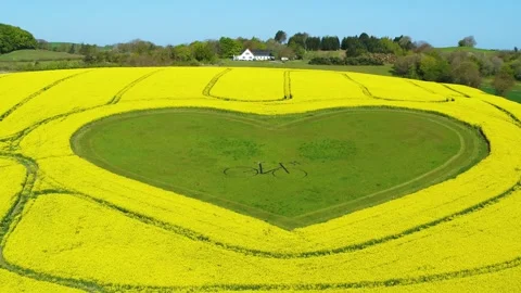 Drone flying slowly sideways over a heart shaped grass field surrounded by .. Stock Footage 274436287