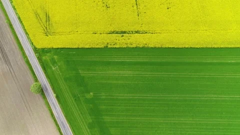 Drone flying slowly sideways over beautiful fields Video stock 278364133