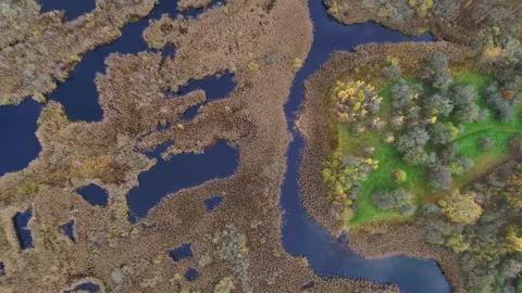 Drone flying slowly sideways over a beautiful bog in the autumn Stock Footage 298651422
