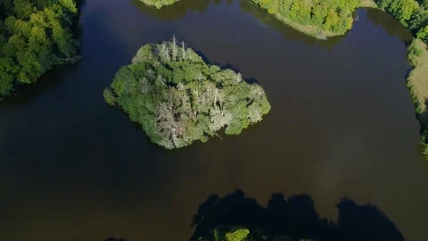 Drone flying slowly towards a small islet in a beautiful forest lake Video stock 305564805