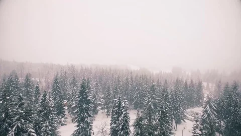 Drone Flying in a snow storm Stock Footage 72789039