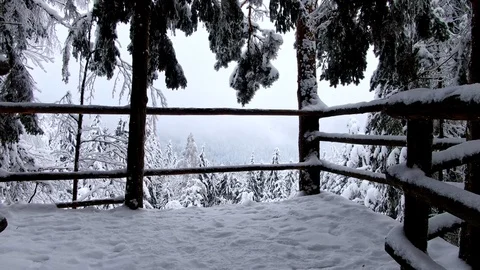 Drone flying in the snowy forest Stock Footage 103138441
