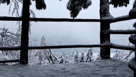 Drone flying in the snowy forest Stock Footage 103138545