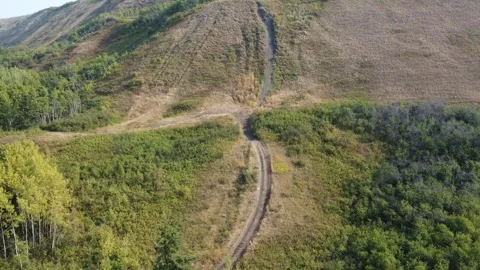 Drone flying up steep hillside with grass and trees on sunny day Stock Footage 255866132