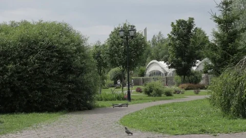 Drone flying in the summer garden Stock Footage 77627338