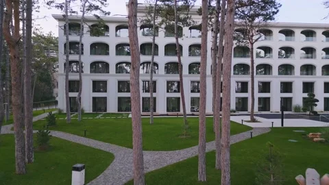 Drone flying through a beautiful pine park to the facade of a luxury hotel Stock Footage 225638854