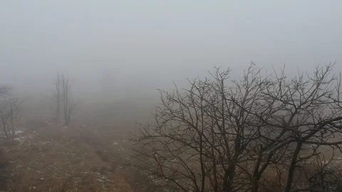 Drone flying through on brown field with a dusting of snow on a foggy Vidéo 109510199