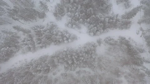 Drone flying through clouds over forrest while it´s snowing in the winter Stock Footage 146755388