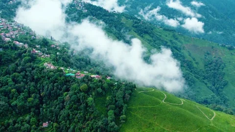 Drone Flying Through Clouds Over Darjeeling Tea Gardens | Misty Green Landscape Stock Footage 321922556