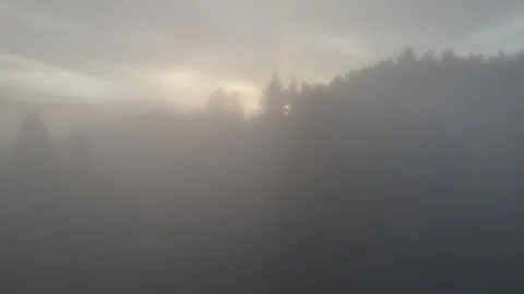 Drone flying through clouds over forest at sunrise, cinematic alpine landscape Stock Footage 325021852