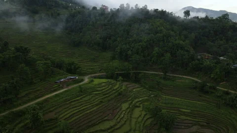 Drone flying through the clouds overlooking the rice terraces. Stock Footage 244904564