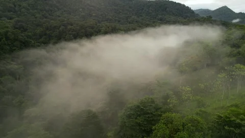 Drone Flying Through Fog Cloud Jungle Mountains Costa Rica 스톡 동영상 347763231