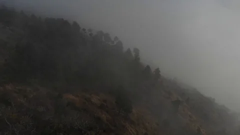 Drone flying through the fog Stock Footage 124785801