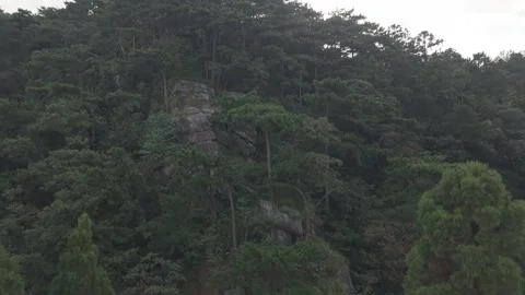 Drone Flying Through Forest Toward a Rocky Cave, Lushan China Video stock 346715135