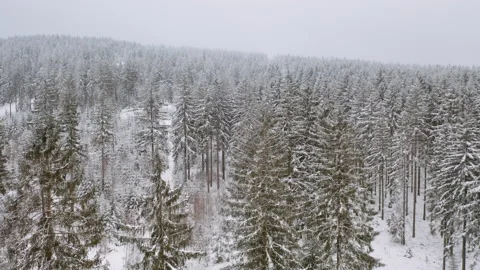 Drone flying through forrest while it´s snowing in the winter 4 Stock Footage 146758382