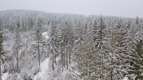 Drone flying through forrest while it´s snowing in the winter 5 Stock Footage 146762042