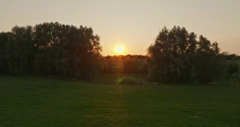 Drone Flying Through Gap Trees Toward Sunset Over Dutch Countryside Farmland Stock Footage 340900009