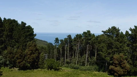 Drone flying through the green forest over beautiful blue sea with little waves Stock Footage 119349579