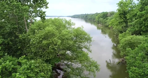 Drone flying through green trees out over the Potomac River near a small Stock Footage 131486649