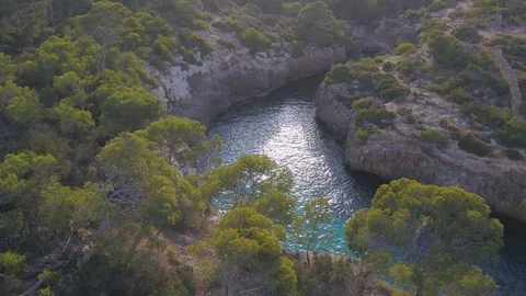 Drone flying through jungle between trees and cliffs in Cala Pi, Mallorca, Spain Stock Footage 101424678