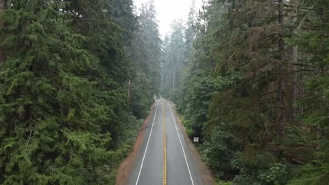 Drone flying through large trees above road in pacific northwest with car Stock Footage 280007382
