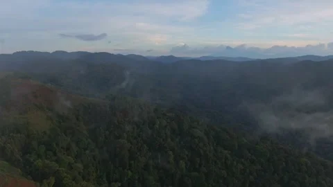 Drone flying through low clouds and over mountains of Bwindi Impenetrable Vidéo 251714757