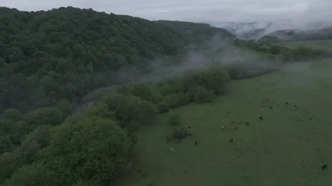 Drone Flying Through Mist Over Green Spring Canyon Stock Footage 310605728