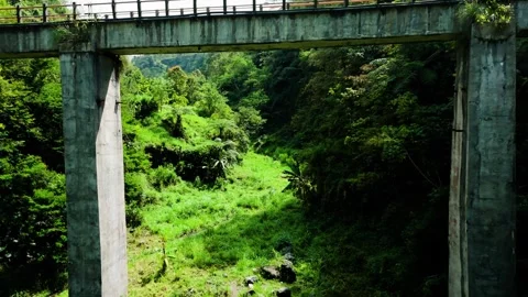 Drone flying through old bridge in the green forest Stock Footage 291625144