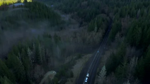 Drone flying through Oregon forest in the morning mist 2020 Stock Footage 145821759