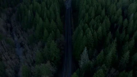 Drone flying through Oregon forest in the morning mist 2020 Stock Footage 145821927