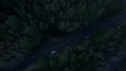 Drone flying through Oregon forest in the morning mist 2020 Stock Footage 145822090