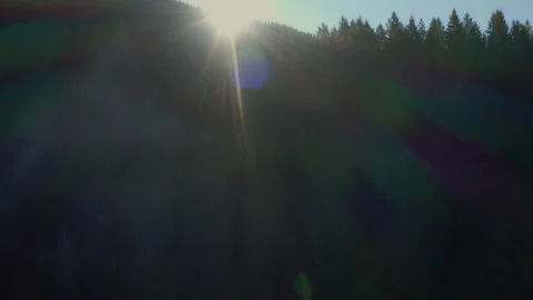 Drone flying through Oregon forest in the morning mist 2020 Stock Footage 145822330