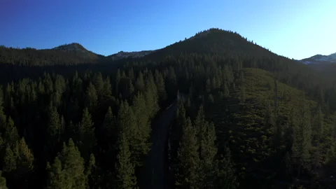 Drone flying through the Oregon green forest in the clear sunny day Stock Footage 145858565
