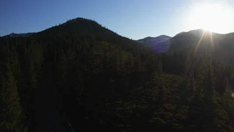 Drone flying through the Oregon green forest in the clear sunny day Stock Footage 145858566