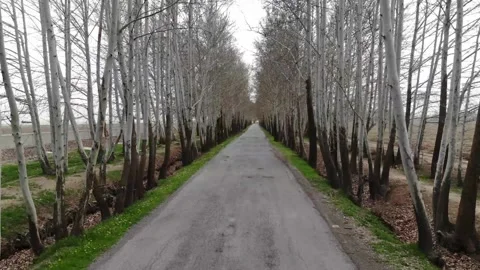 Drone flying through rural road Stock Footage 315005783