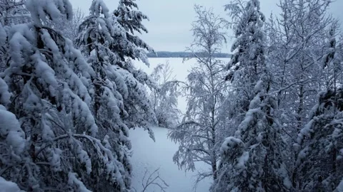 Drone flying through snow covered trees towards lake 4k Stock Footage 261378621