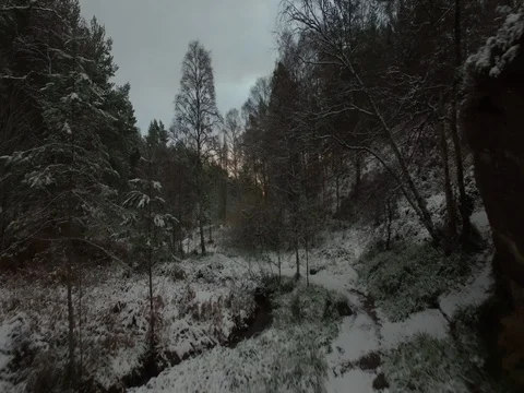 Drone flying through a snowy forest at sunset Stock-Footage 82922137