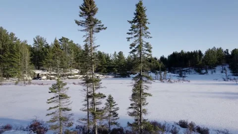 Drone flying through spruce trees on a frozen lake Stock Footage 235003707