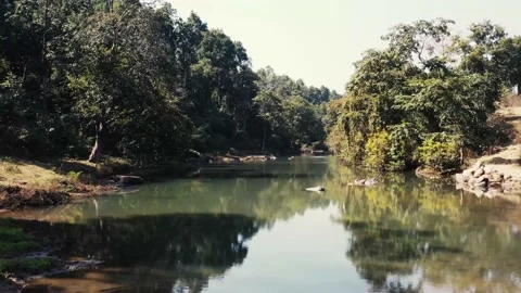 Drone flying through surface of river towards dense forest 库存影片 157494388