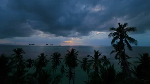 Drone Flying Through Tall Palm Trees Toward Ocean at Sunset with Stormy Clouds Stock Footage 316837348