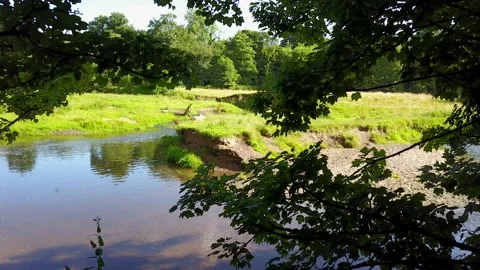 Drone flying through the trees and along a small river Stock Footage 163615521