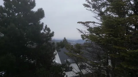 Drone flying through trees Stock Footage 225926886