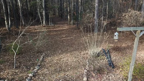 Drone flying through a wooded path Stockbeeldmateriaal 100620612