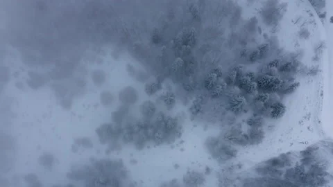 Drone flying top shot over a white snowy forest full of mist in the middle o Stock Footage 145699818