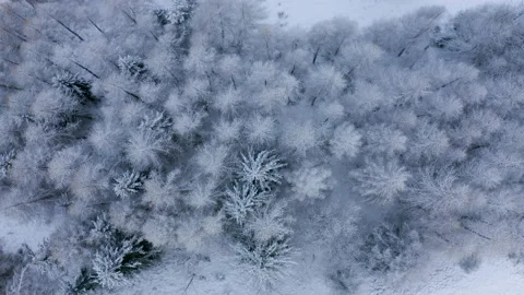 Drone flying topshot in the middle of the alps  Stock Footage 145699856