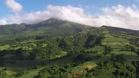 Drone Flying Toward Cloud-Covered Montagne Pelée – Forest and Farmland Below Stock Footage 317118656