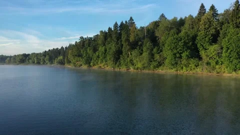 Drone flying toward forest shore over calm river Stock Footage 320118707