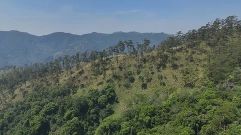 Drone flying toward remote pine ridge in Chu Yang Sin mountains 動画素材 337345011