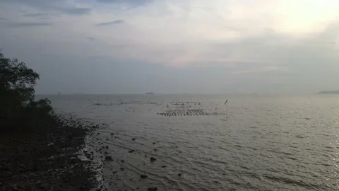 Drone flying towards beach and sea in Teluk Kemang Stock Footage 150722119